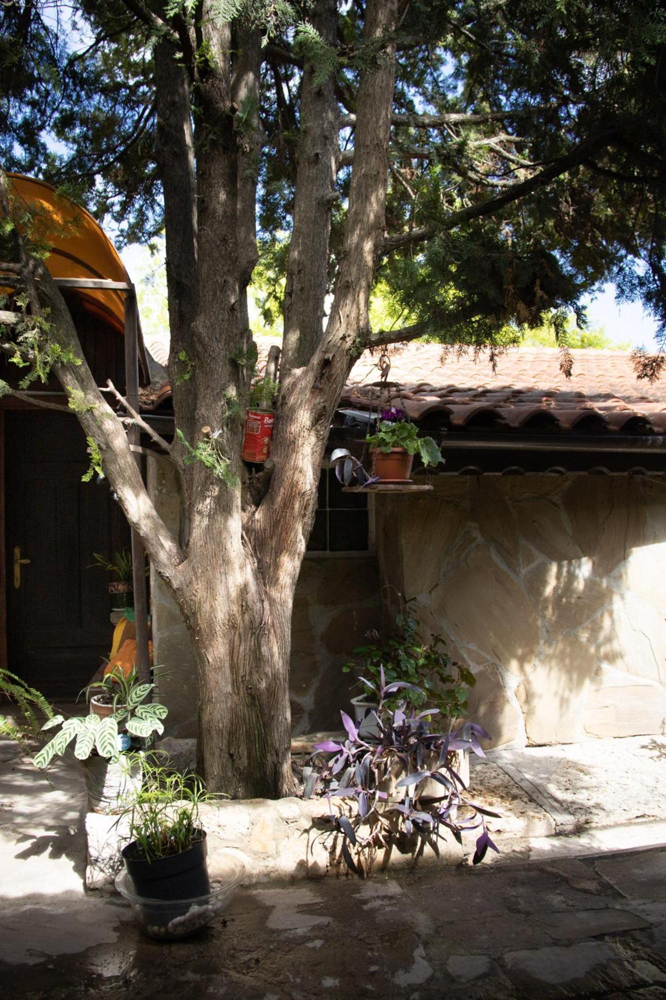 Старата Баkалия The Old Grocery, Guest Rooms บัลชิค ภายนอก รูปภาพ